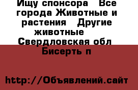 Ищу спонсора - Все города Животные и растения » Другие животные   . Свердловская обл.,Бисерть п.